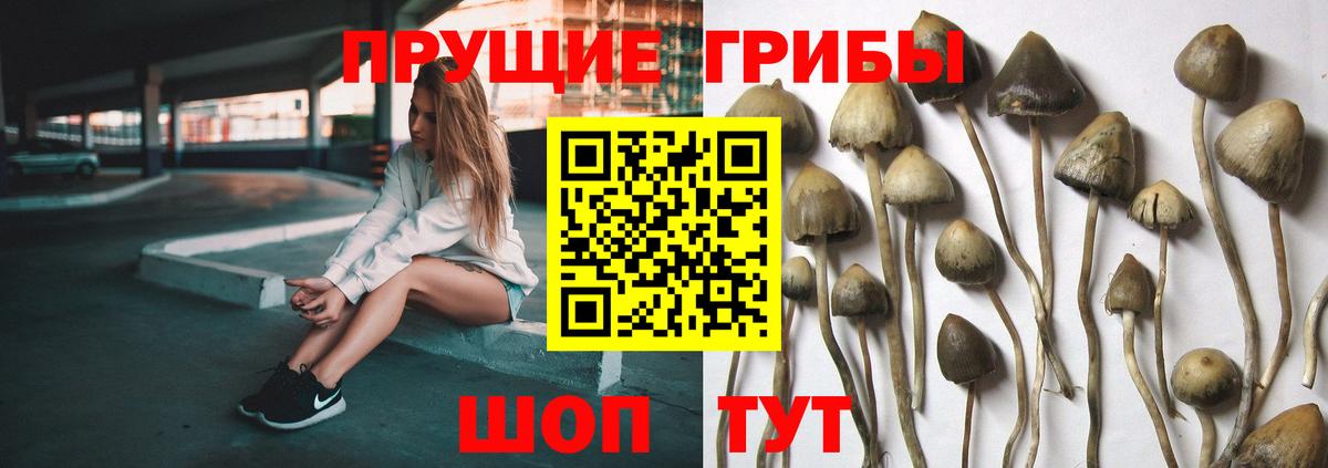 Псилоцибиновые грибы MAGIC MUSHROOMS  Вход с VPN  Конаково 
